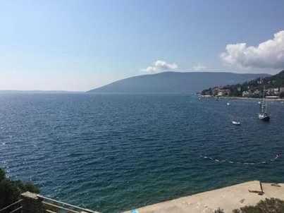 Pansion Mimoza Bed & Breakfast Херцег Нови Екстериор снимка