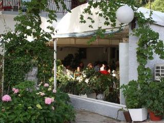 Pansion Mimoza Bed & Breakfast Херцег Нови Екстериор снимка